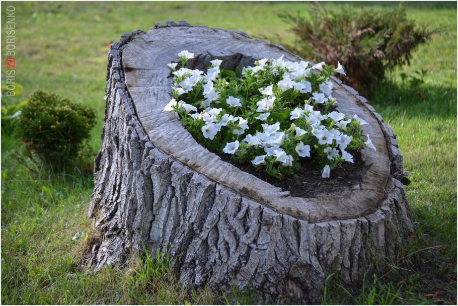 Необычные клумбы