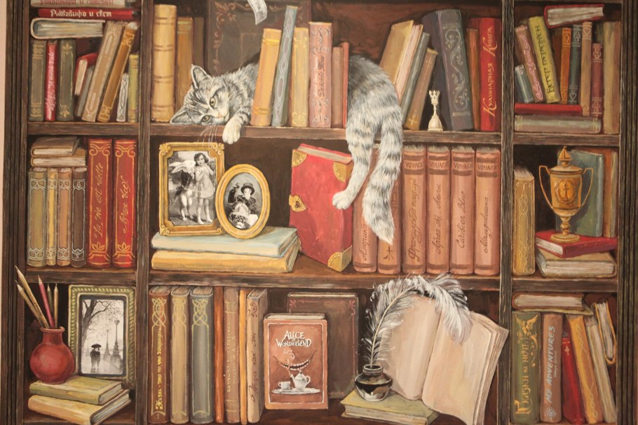 Полки с книгами в библиотеке