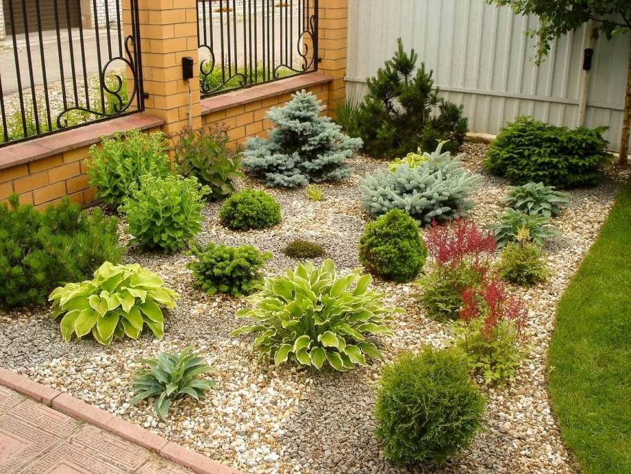 Миксбордер рокарий