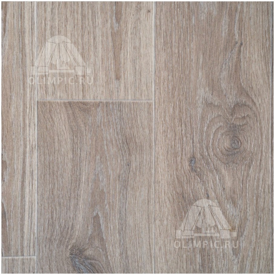 Линолеум Gladiator Muskat 11