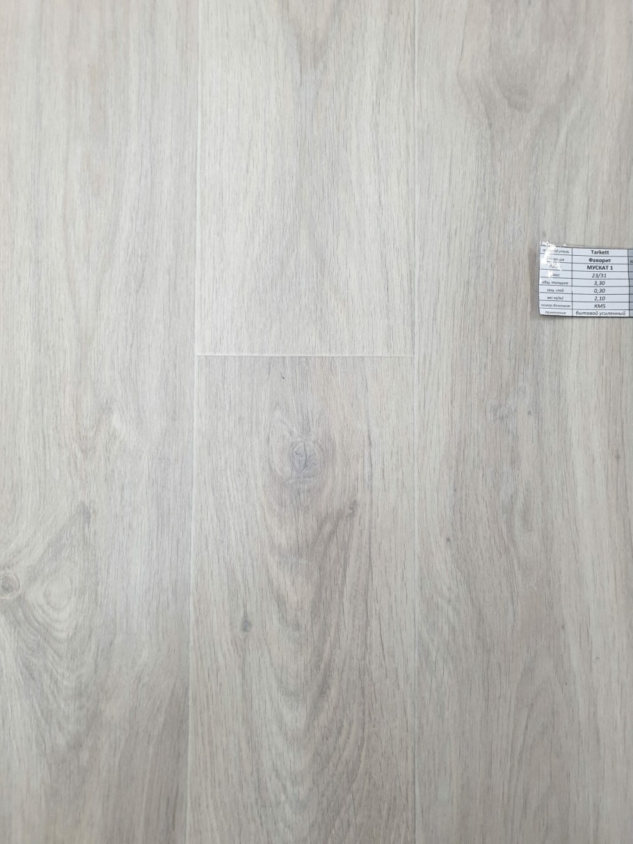 Линолеум Фаворит Мускат 1