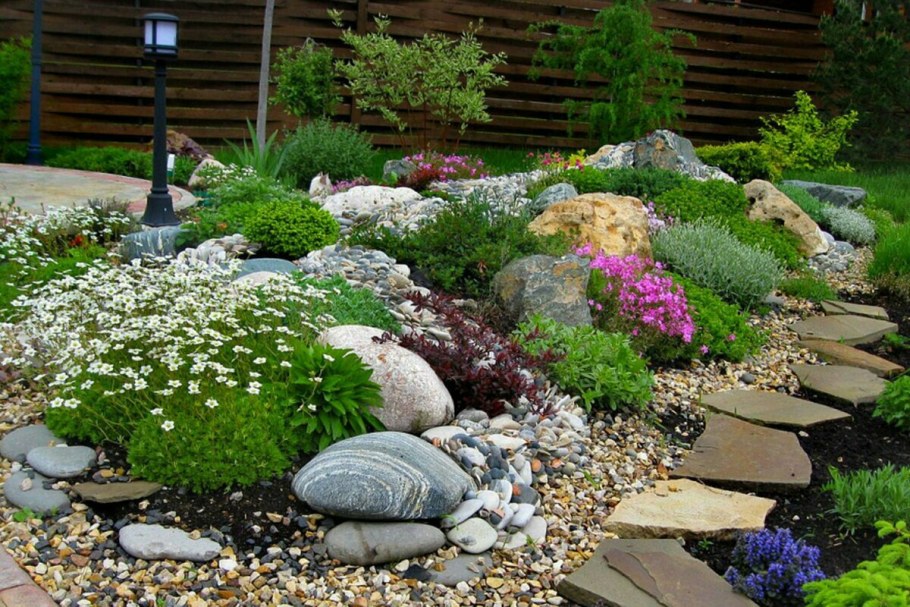 Колокольчик Биберштейна рокарий