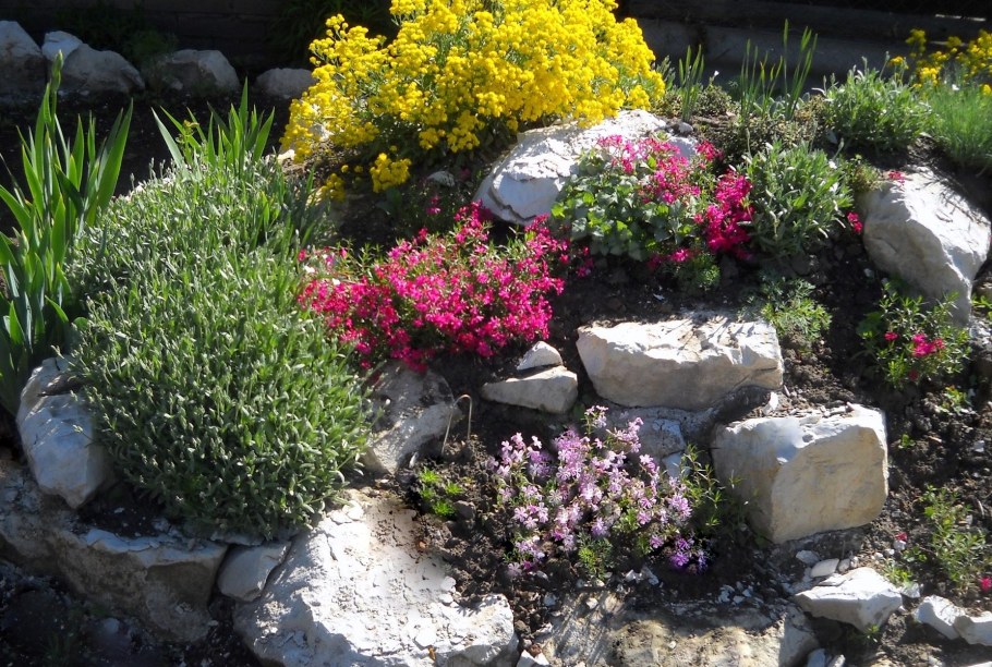 Альпинарий Альпийская горка