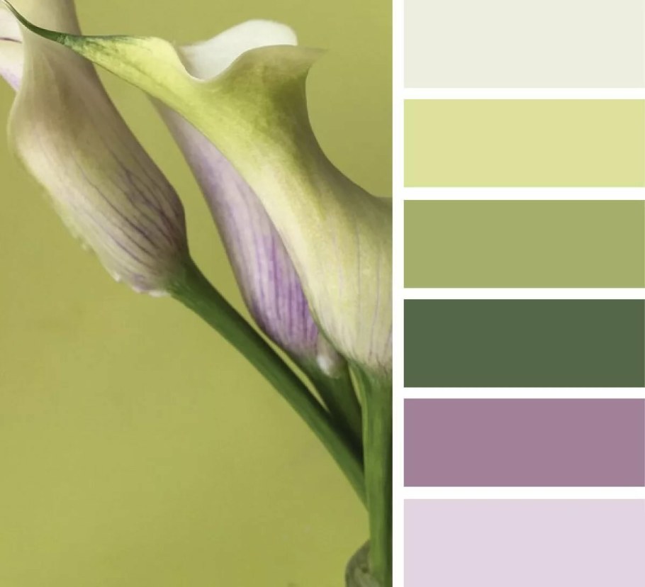 Цветовые сочетания с оливковым