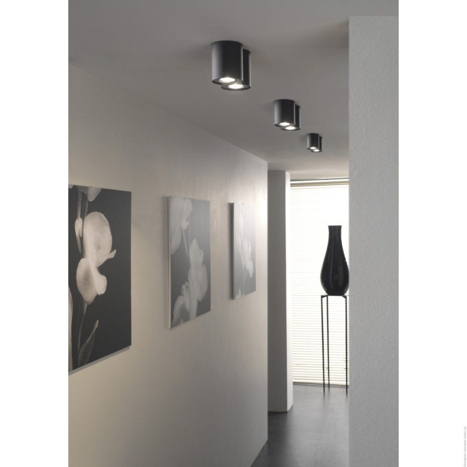 Светильники накладные в коридоре черные