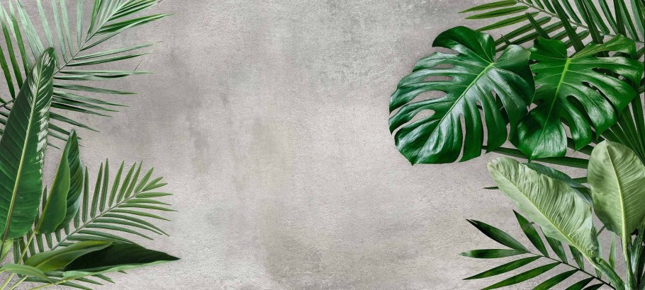 Тропический лист Оби