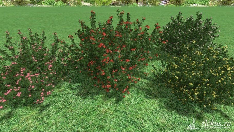 Лапчатка в ландшафтном дизайне