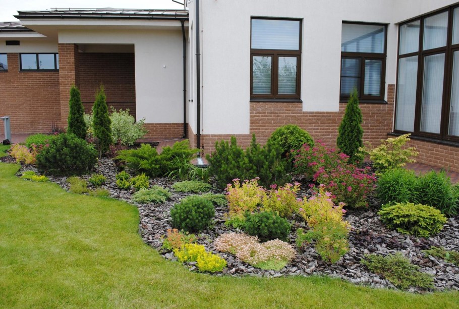 Лапчатка на клумбе