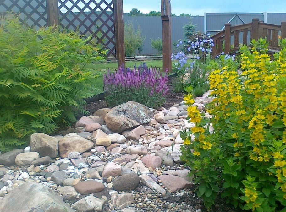 Клумба можжевельник, спирея, лапчатка Хоста