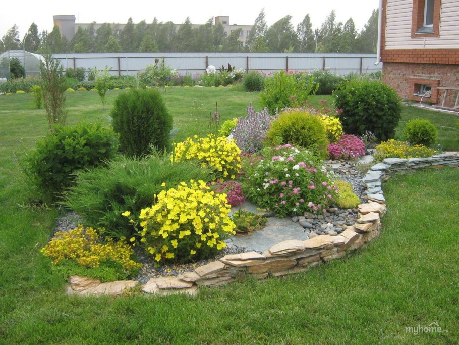 Лапчатка кустарниковая Лаймлайт