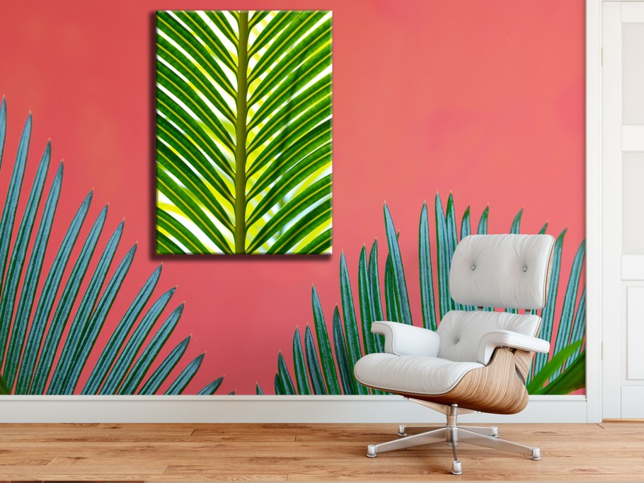 Фотообои пальмовые листья в интерьере