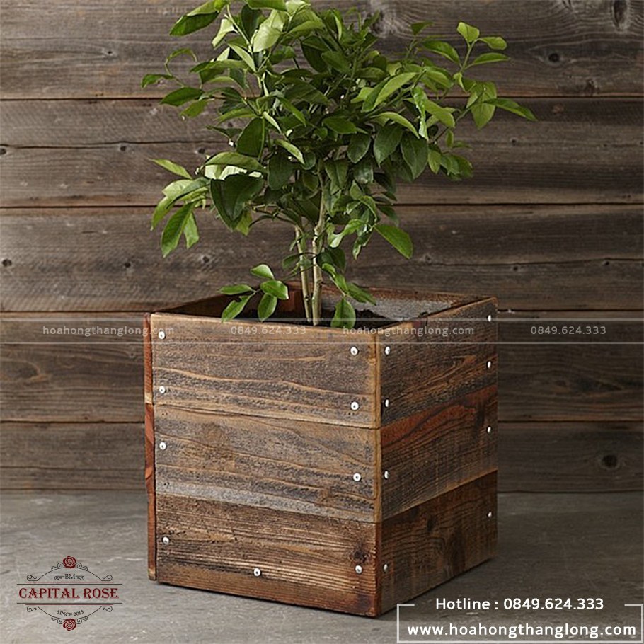 Деревянные горшки