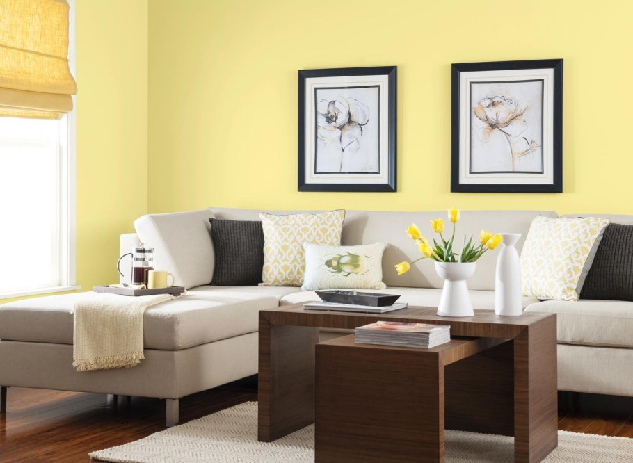 Цвета стен в интерьере