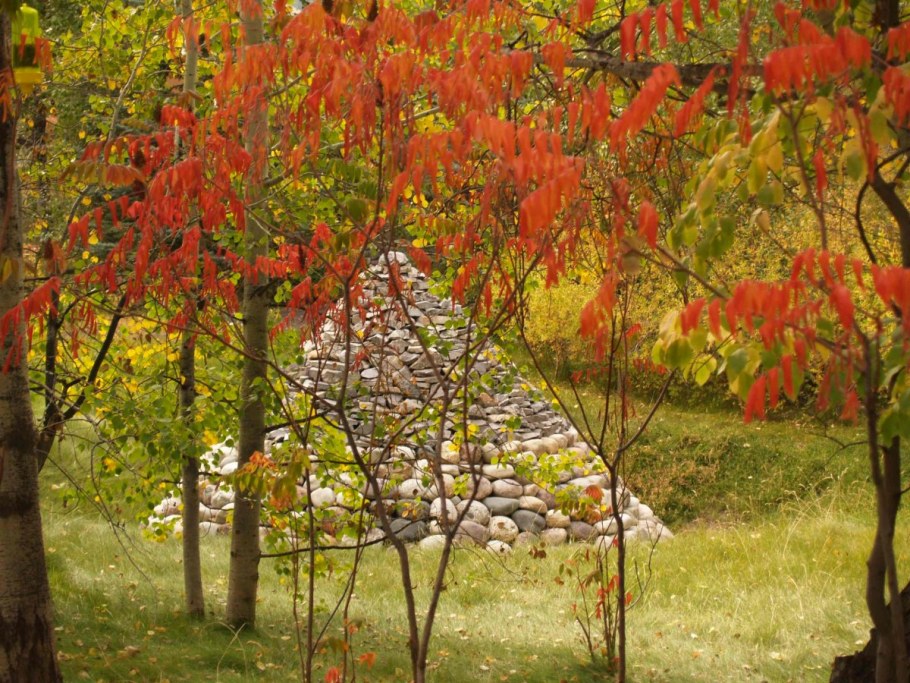 Сумах оленерогий в ландшафте