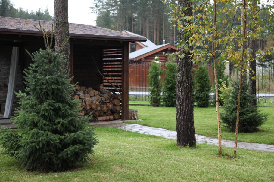 ООО корт СПБ Озеленение