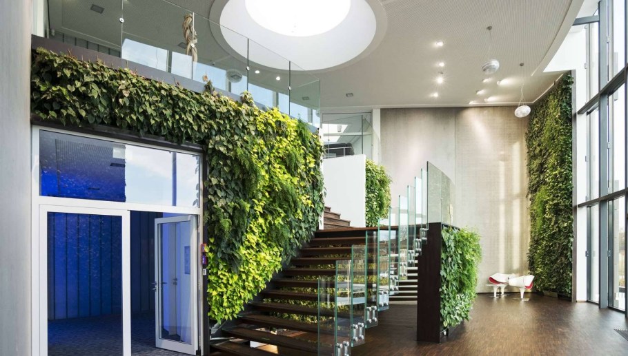 Фитостена самшит