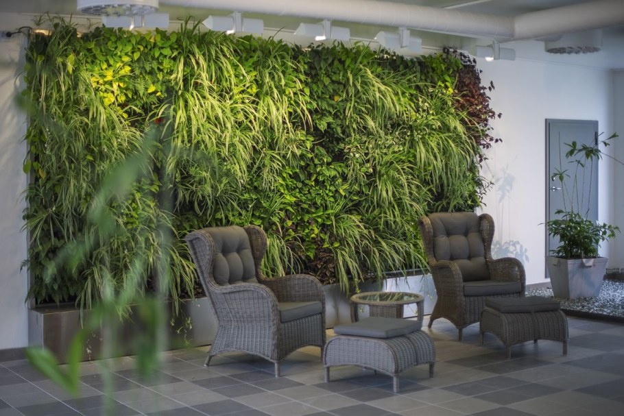 Фитостена самшит