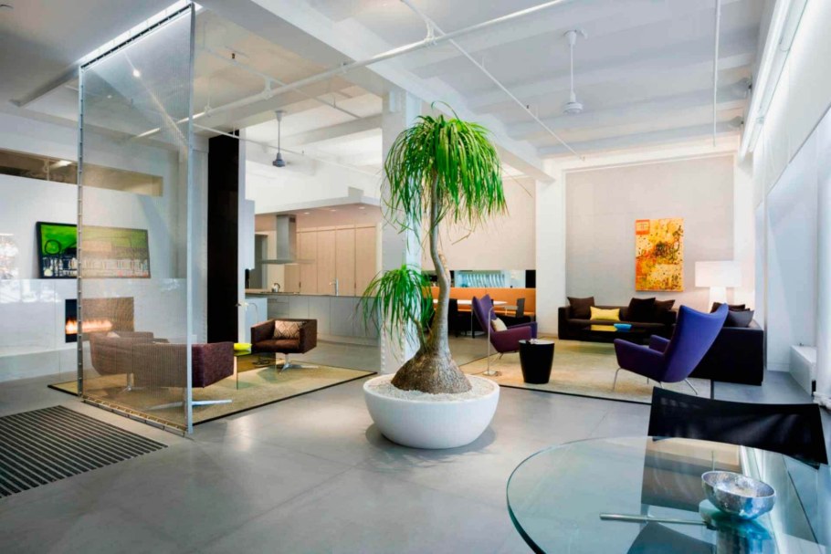 Гостиная с растениями