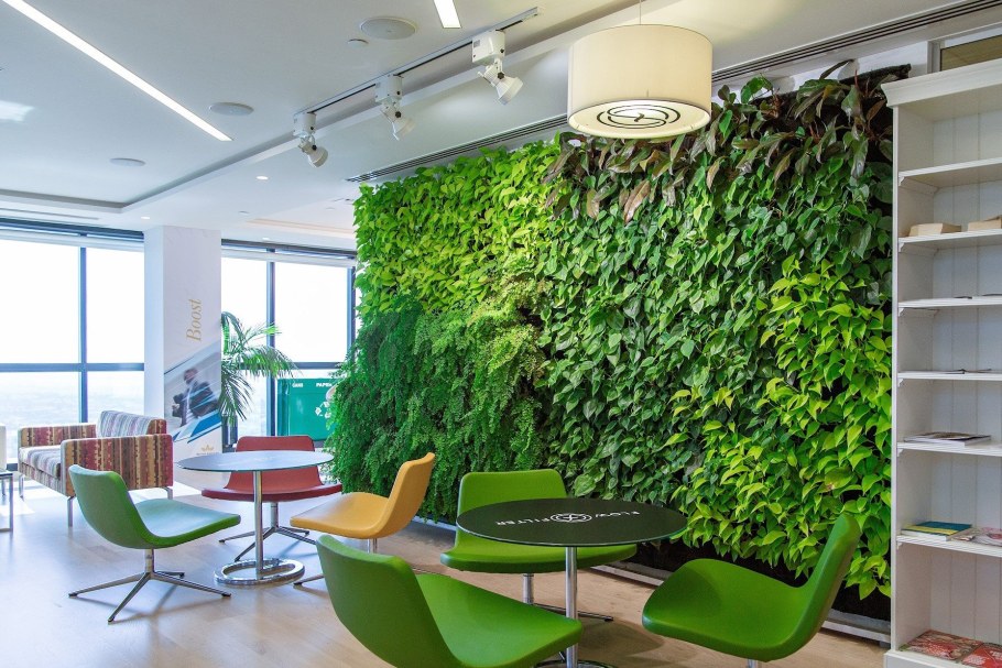 Офисные растения производят кислород