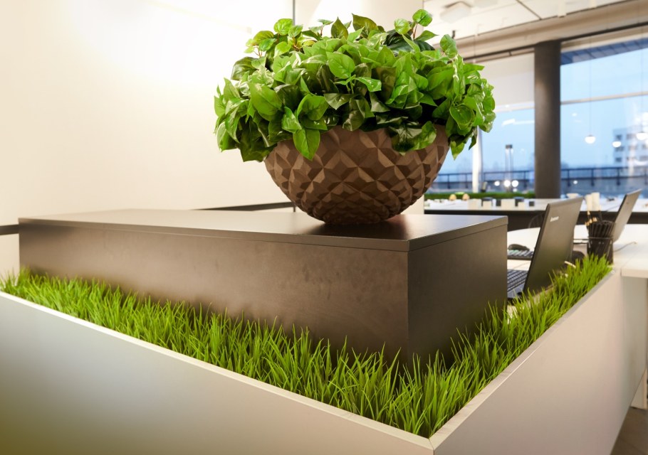 Интерьерное Озеленение