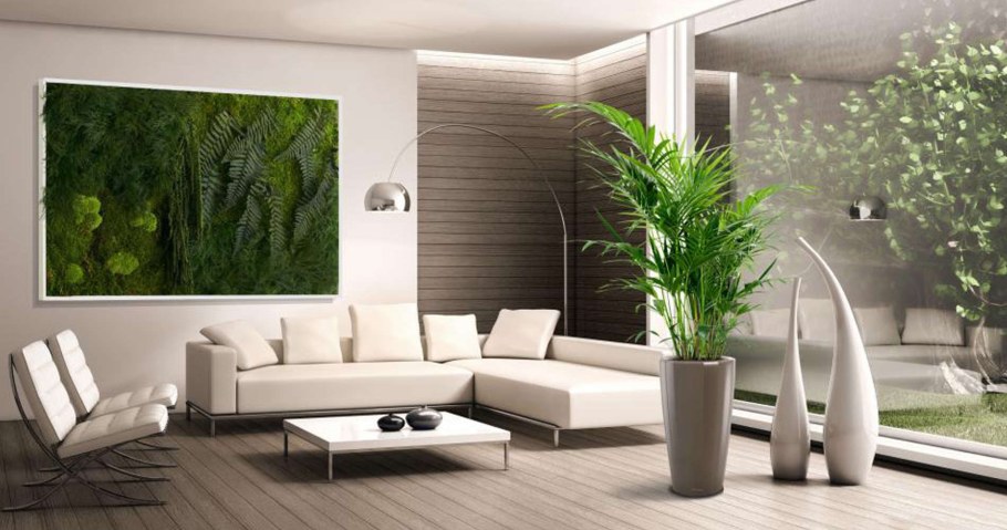 Растения в интерьере квартиры