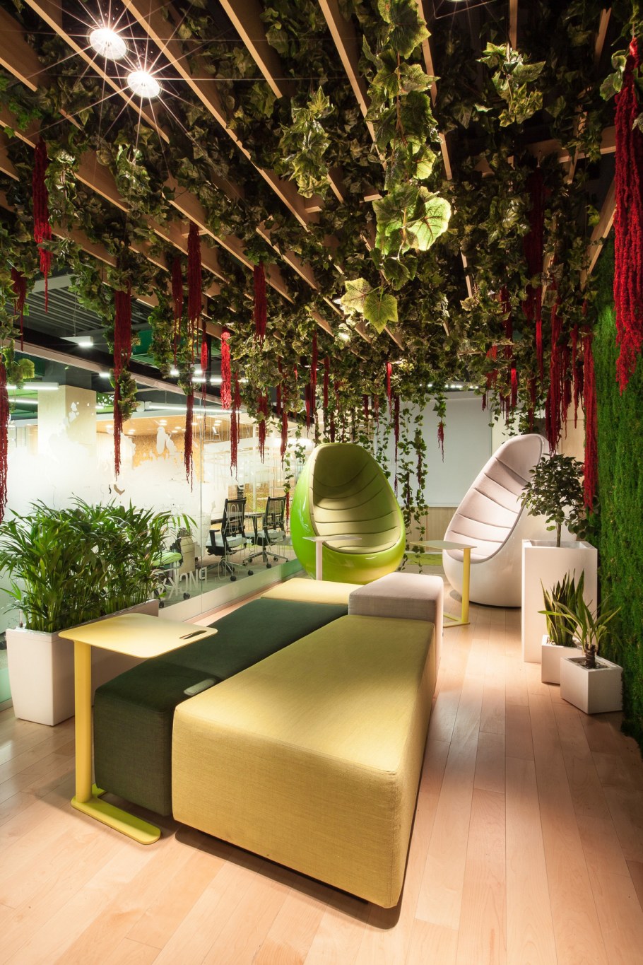 Фитодизайн в интерьере