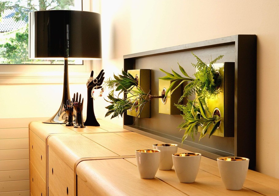 Растения в интерьере