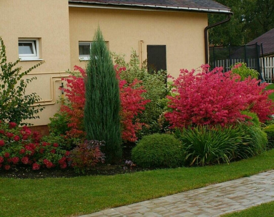 Хвойно Вересковый миксбордер