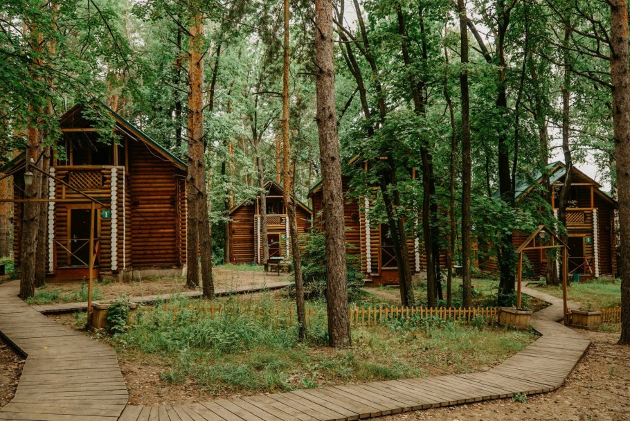 Лесной курорт Краснобаковский район