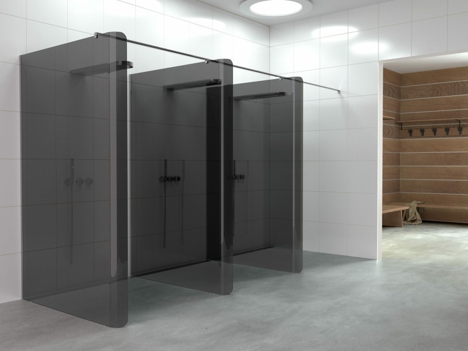 Стеклянная душевая перегородка Enigma