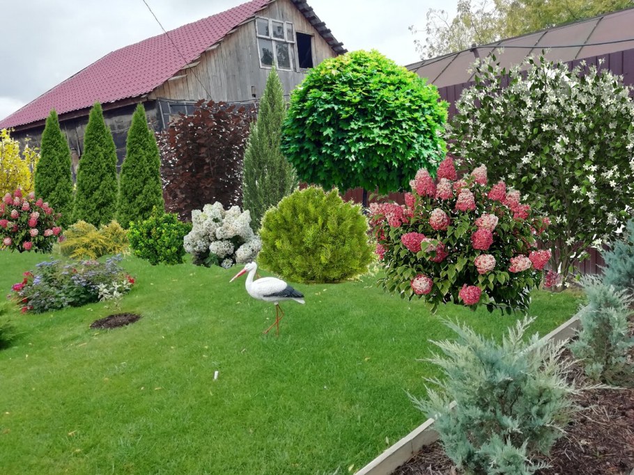 Клумба хвойники гортензии Барбарис