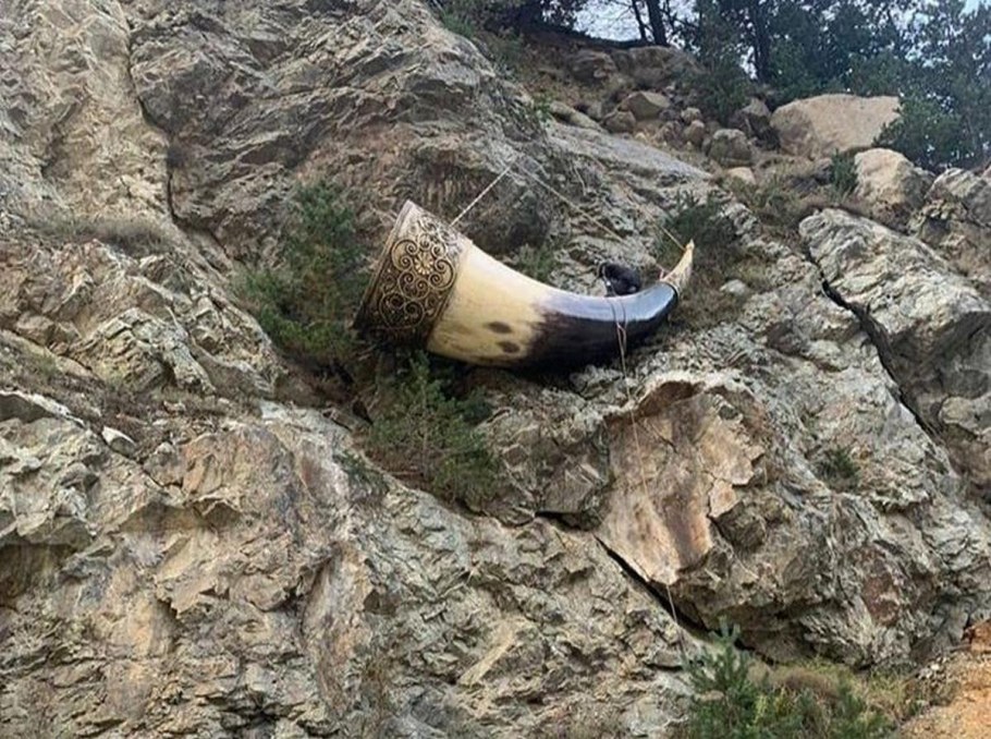 Рог изобилия цей Северная Осетия