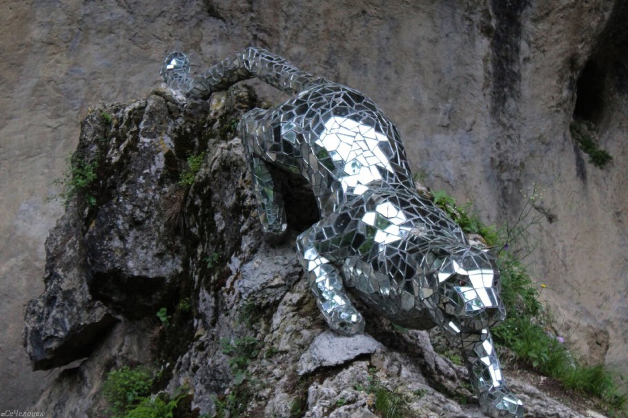 Зеркальный Барс в Осетии