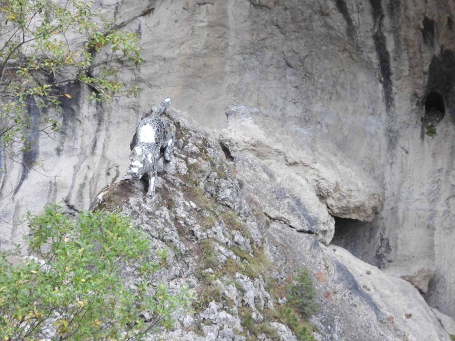 Барс кадаргаванская теснина