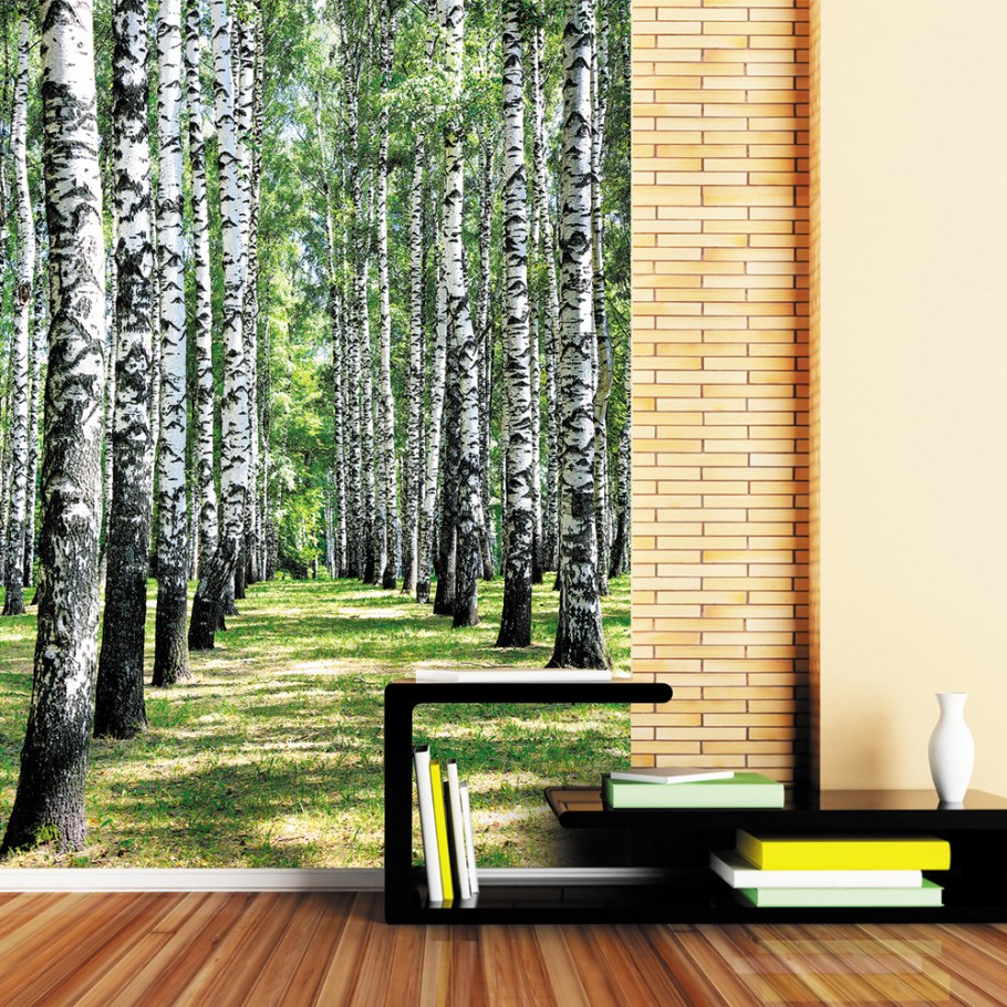Фотообои березы