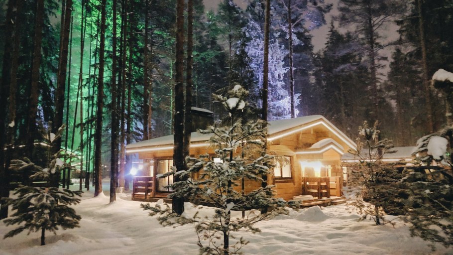 Forest Hill Охта парк