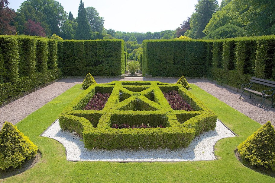 Боскет французский партер