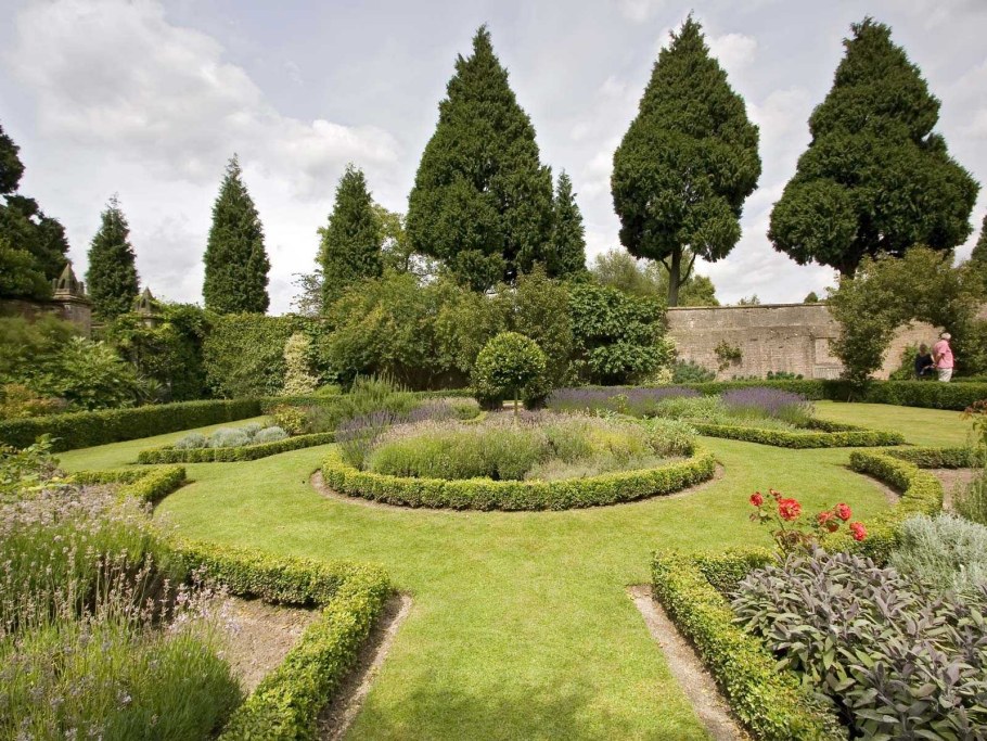 Боскет французский партер