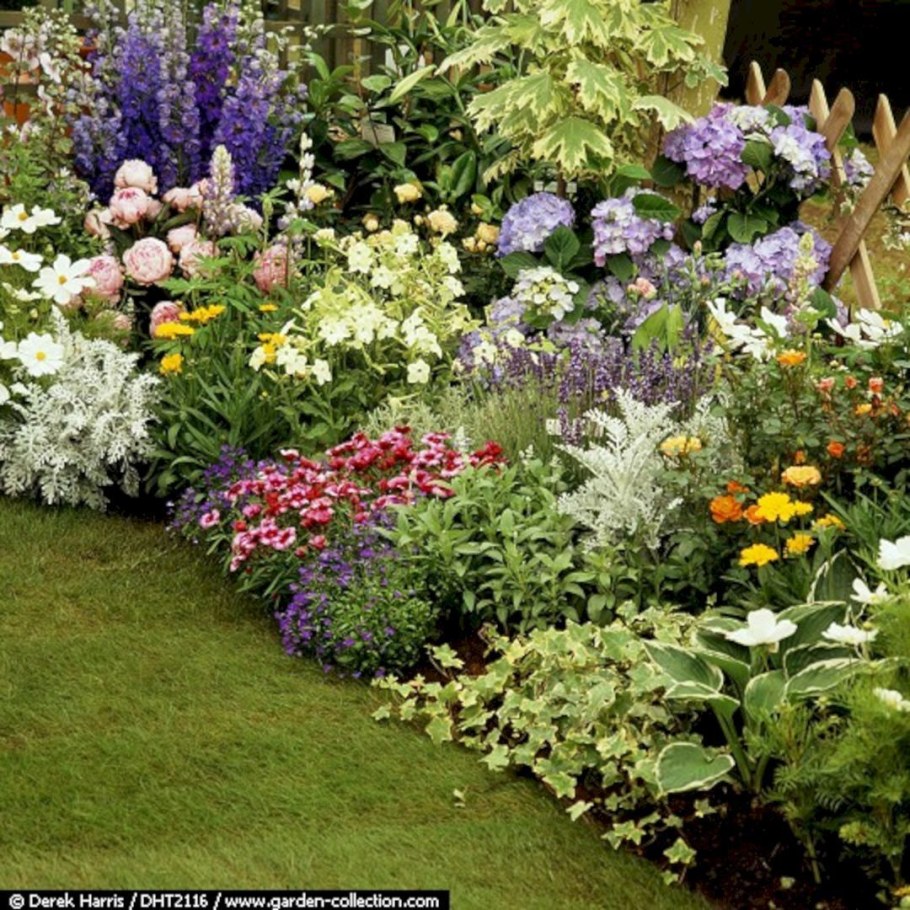 Миксбордер с гортензией метельчатой