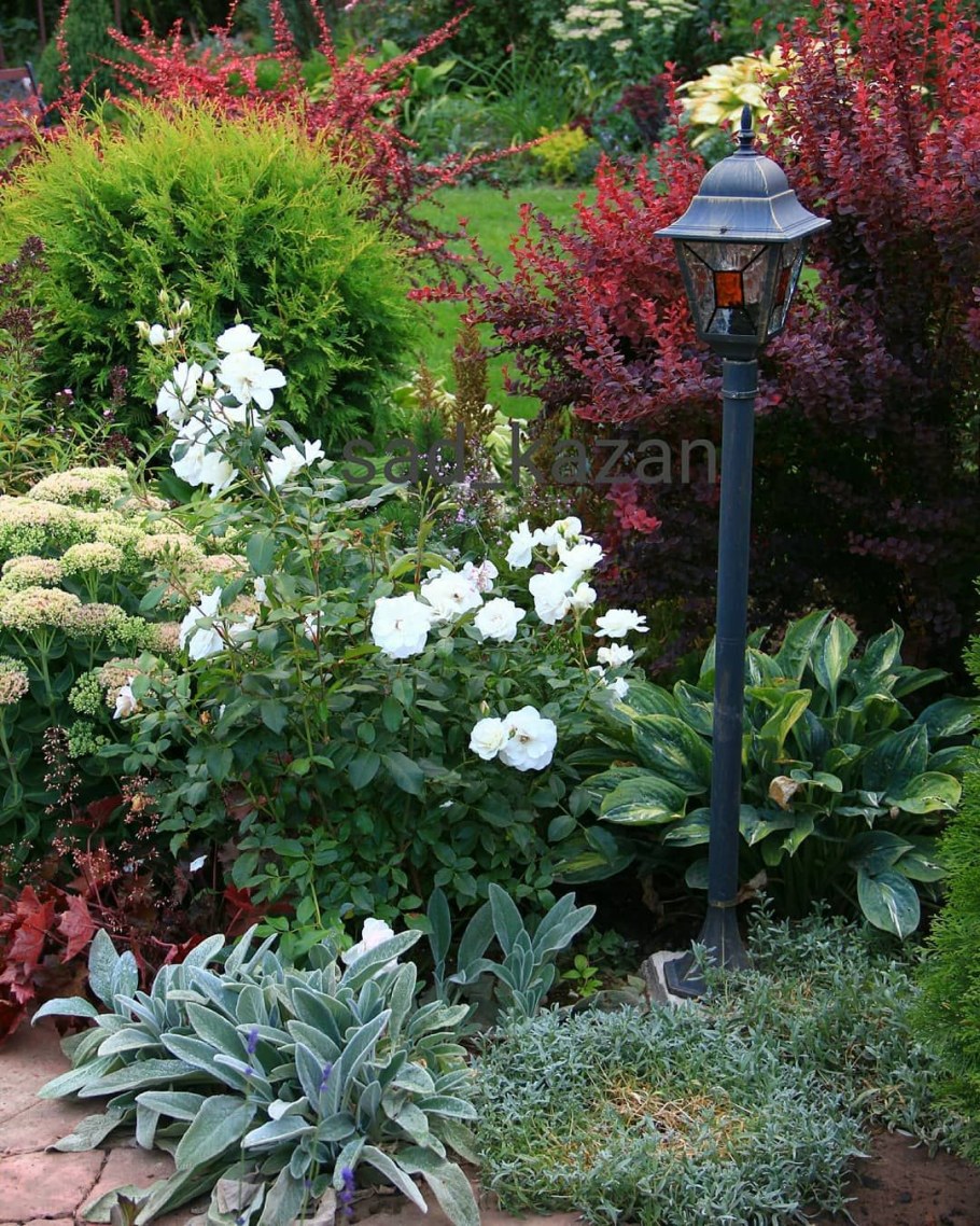 Миксбордер вейгела, Жасмин