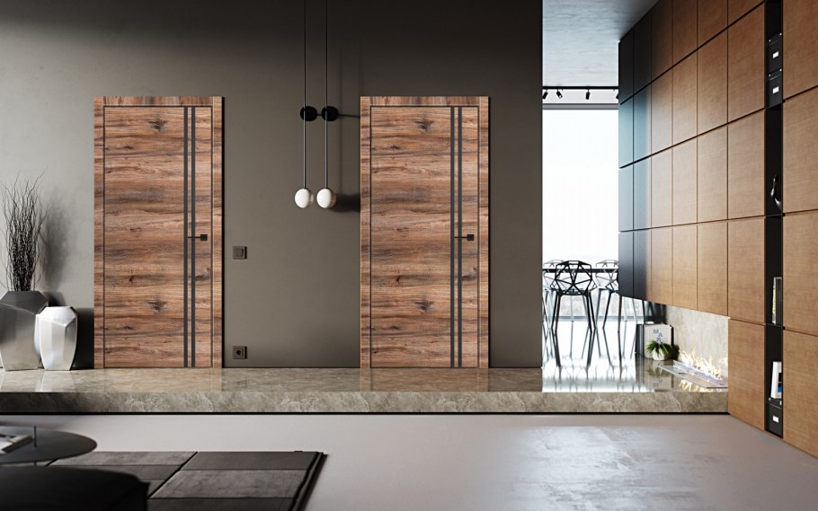 Двери рада Дорс в интерьере