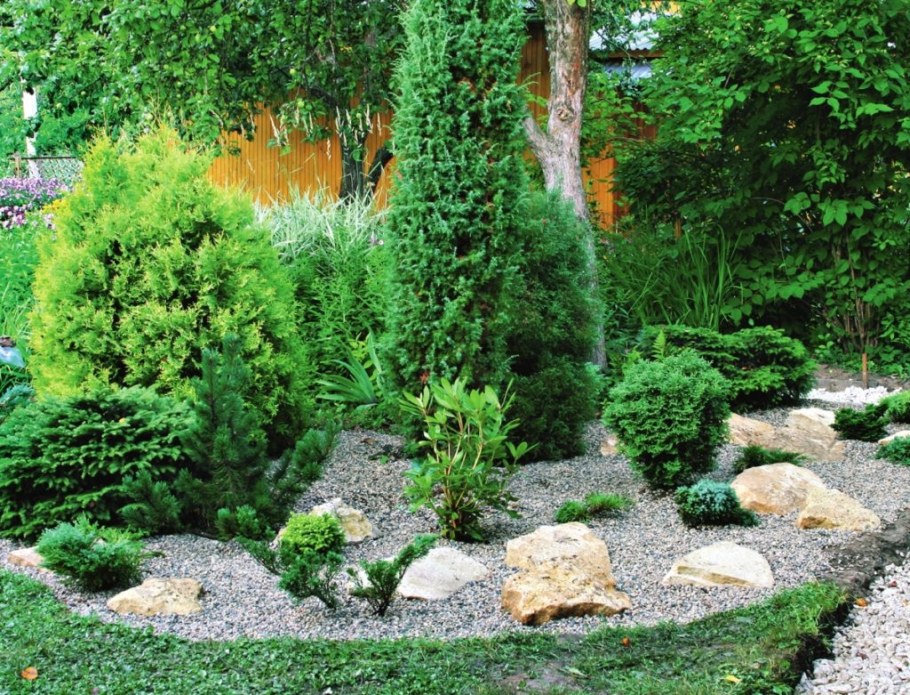 Рокарий из туи