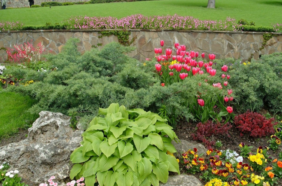 Альпийская горка миксбордер Хоста