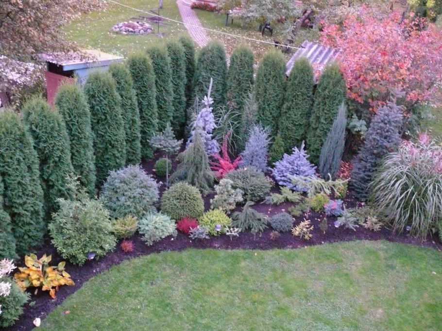 Миксбордер с можжевельником и барбарисом