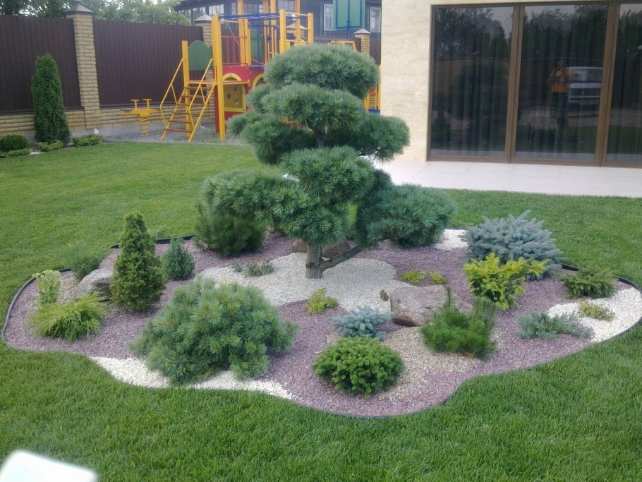 Рокарий с горной сосной