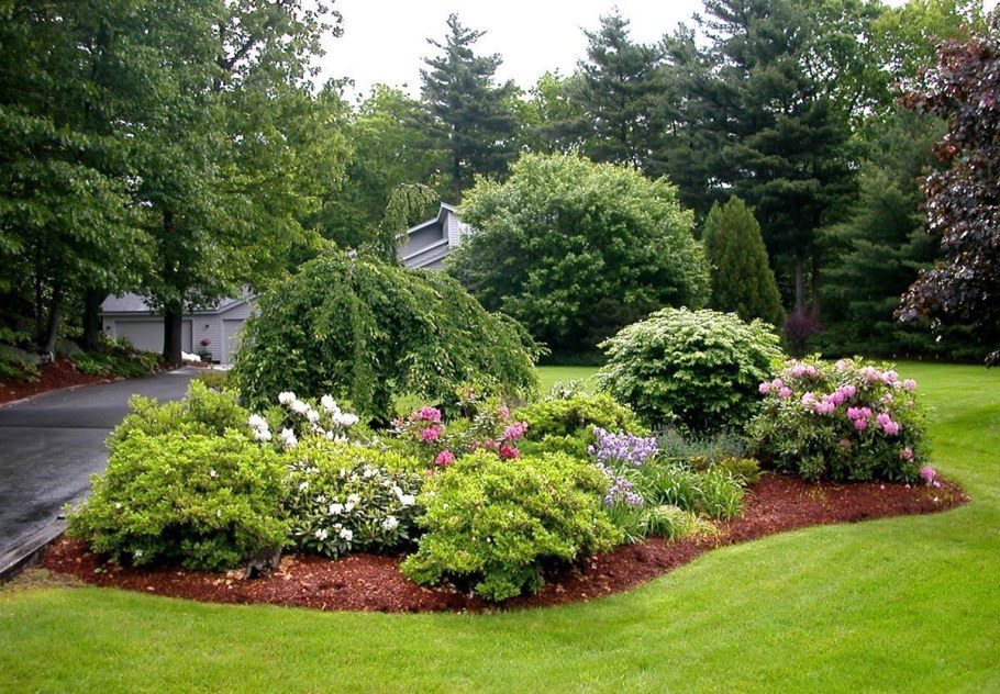 Хвойно Лиственный миксбордер