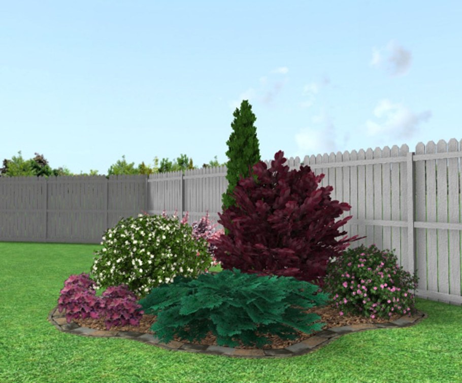 Миксбордер туя Барбарис