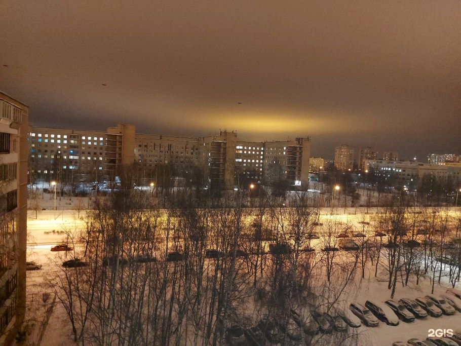 Проспект солидарности 4