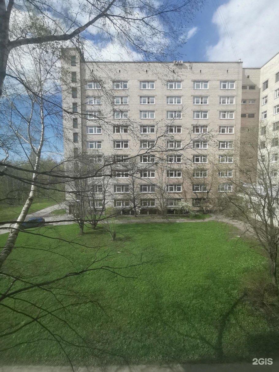 Проспект солидарности 10 корабль