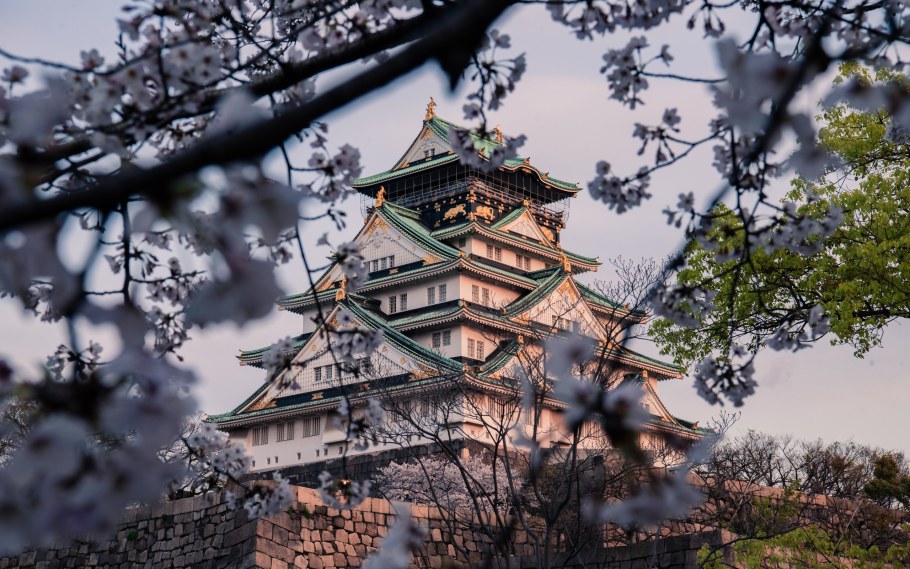 Падение замка Осака